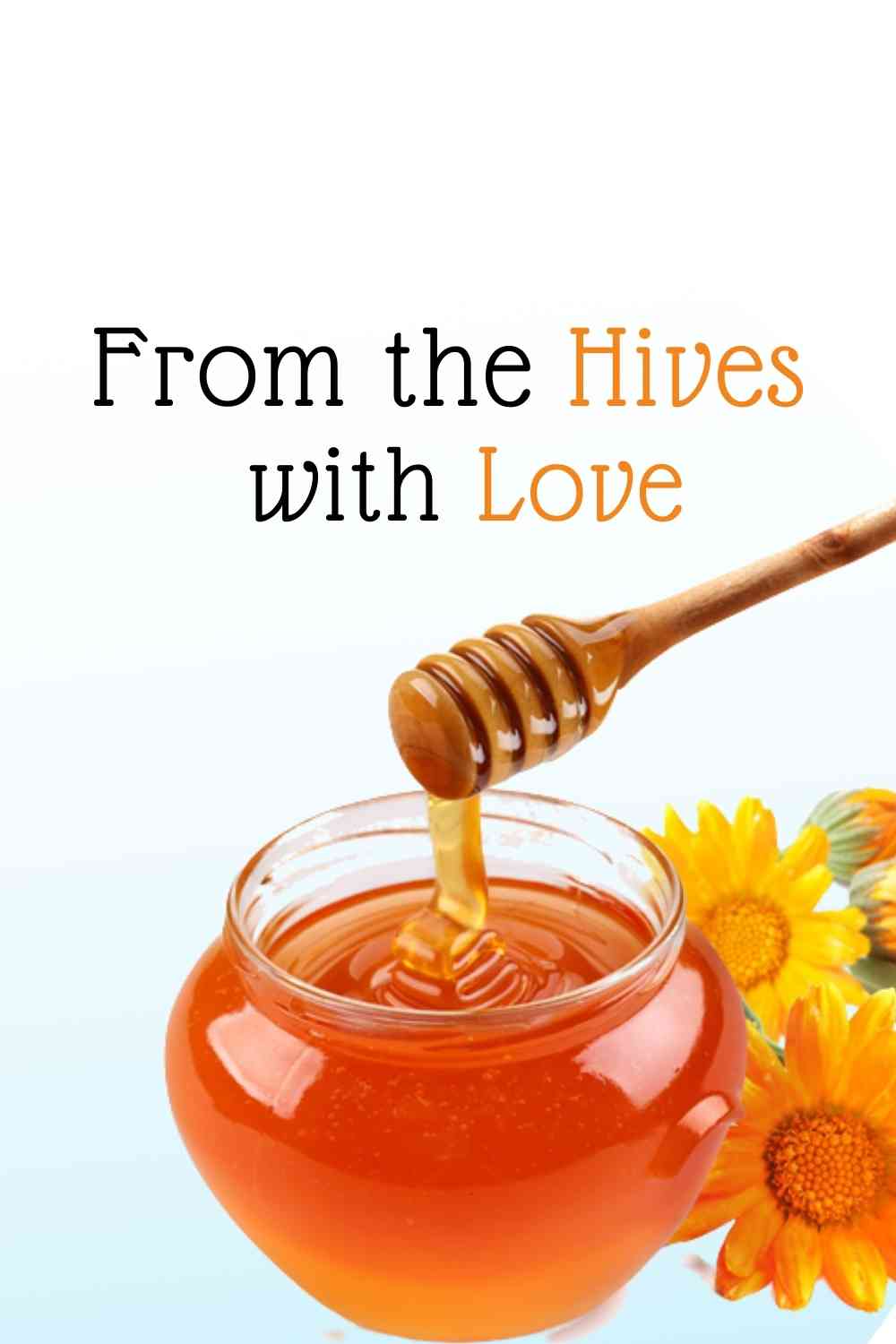 Untitled design (27)